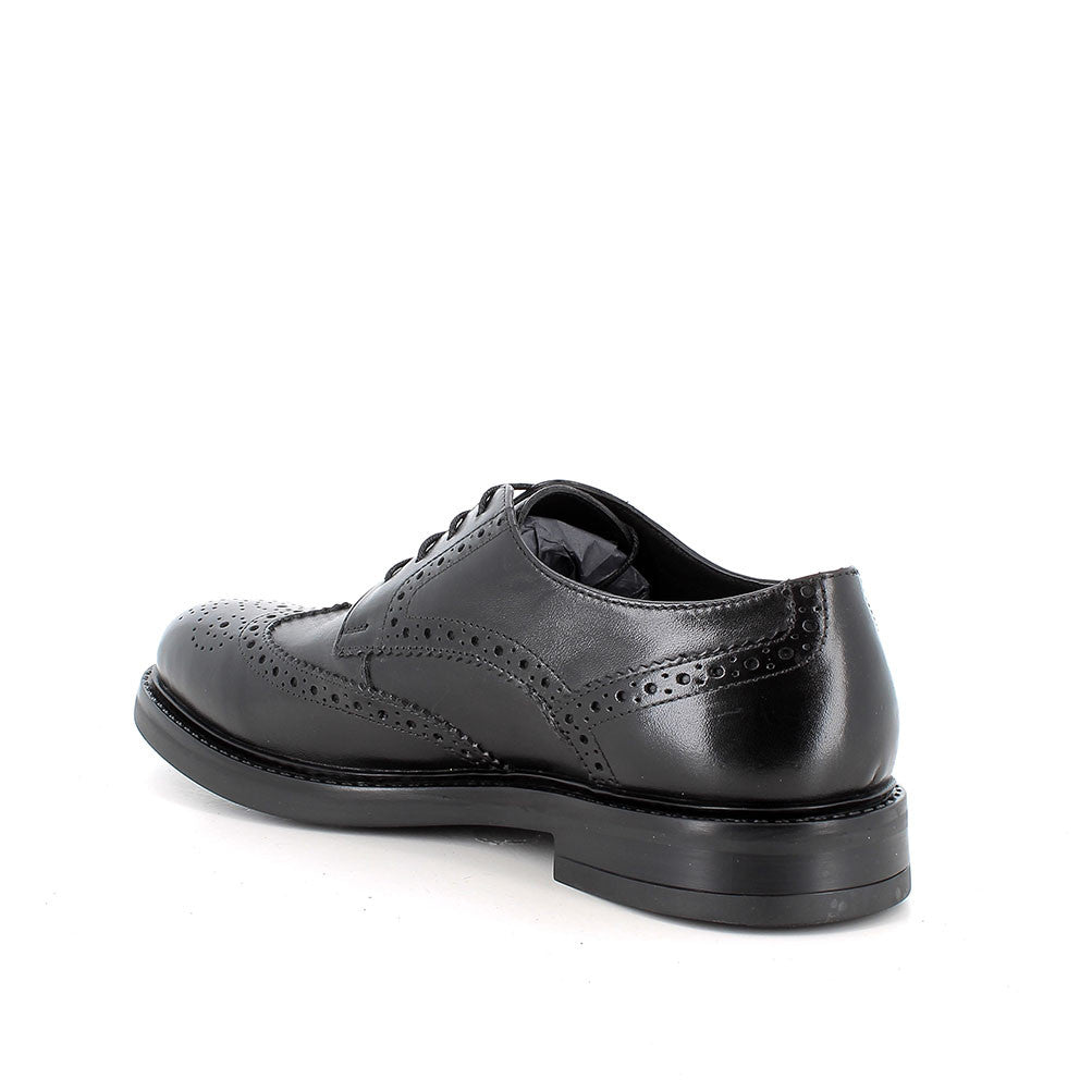 Scarpa stringata da uomo Nero IGI&CO
