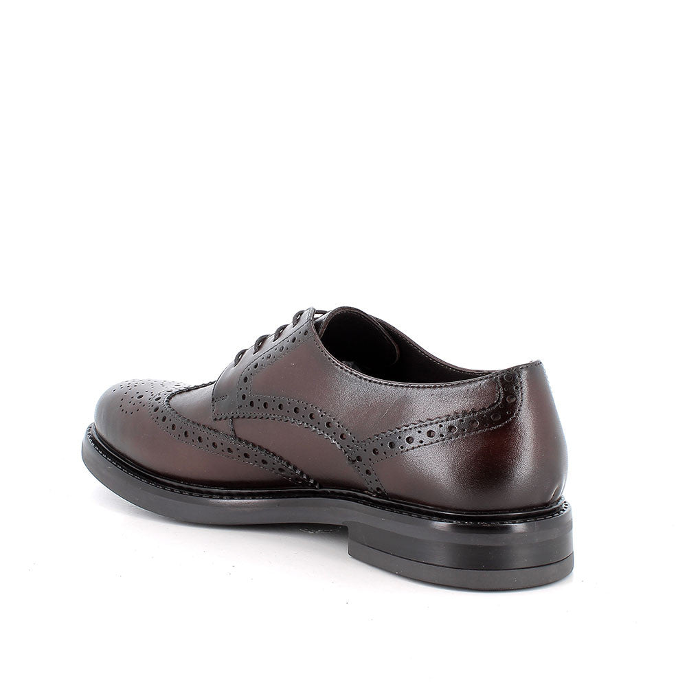 Scarpa stringata da uomo Marrone IGI&CO