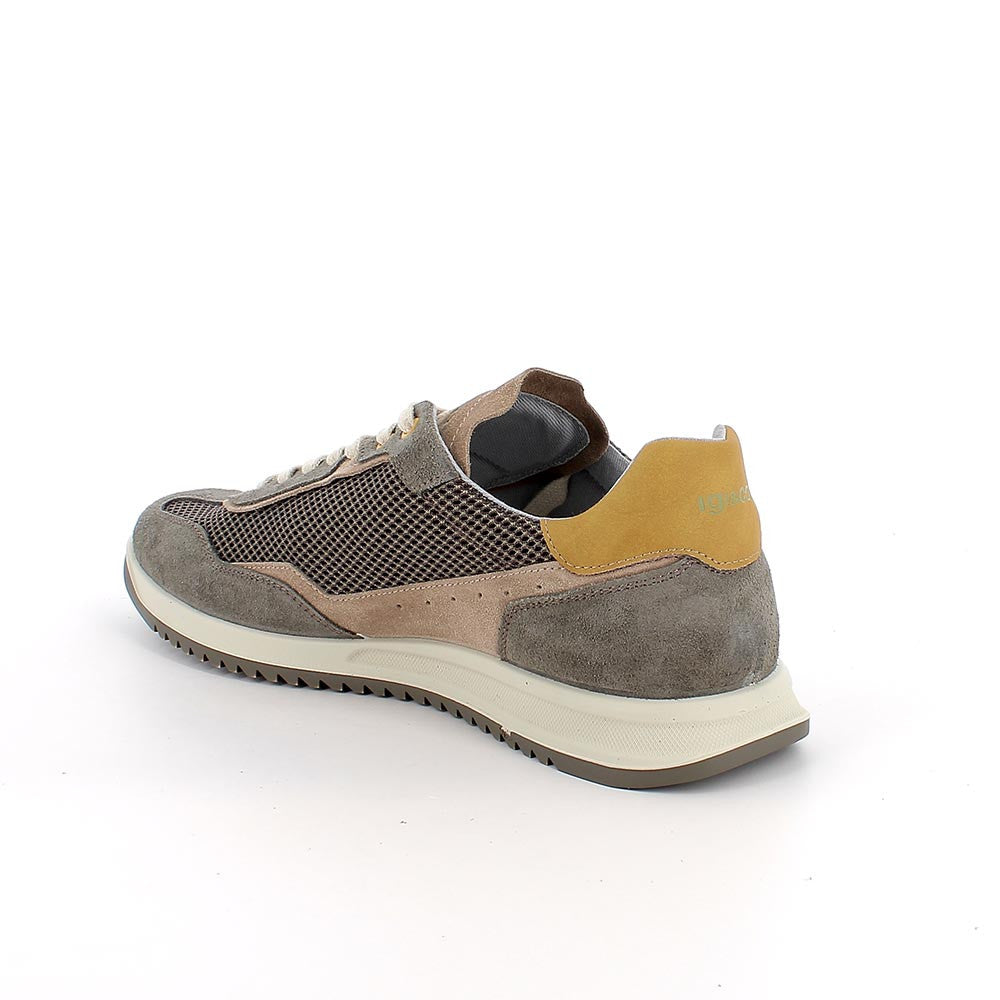 Sneakers uomo militare/taupe IGI&CO