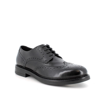 Scarpa stringata da uomo Nero IGI&CO