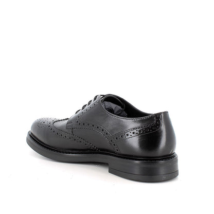 Scarpa stringata da uomo Nero IGI&CO
