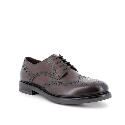 Scarpa stringata da uomo Marrone IGI&CO
