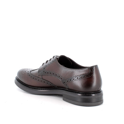 Scarpa stringata da uomo Marrone IGI&CO