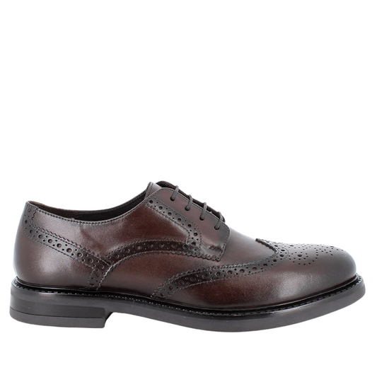 Scarpa stringata da uomo Marrone IGI&CO