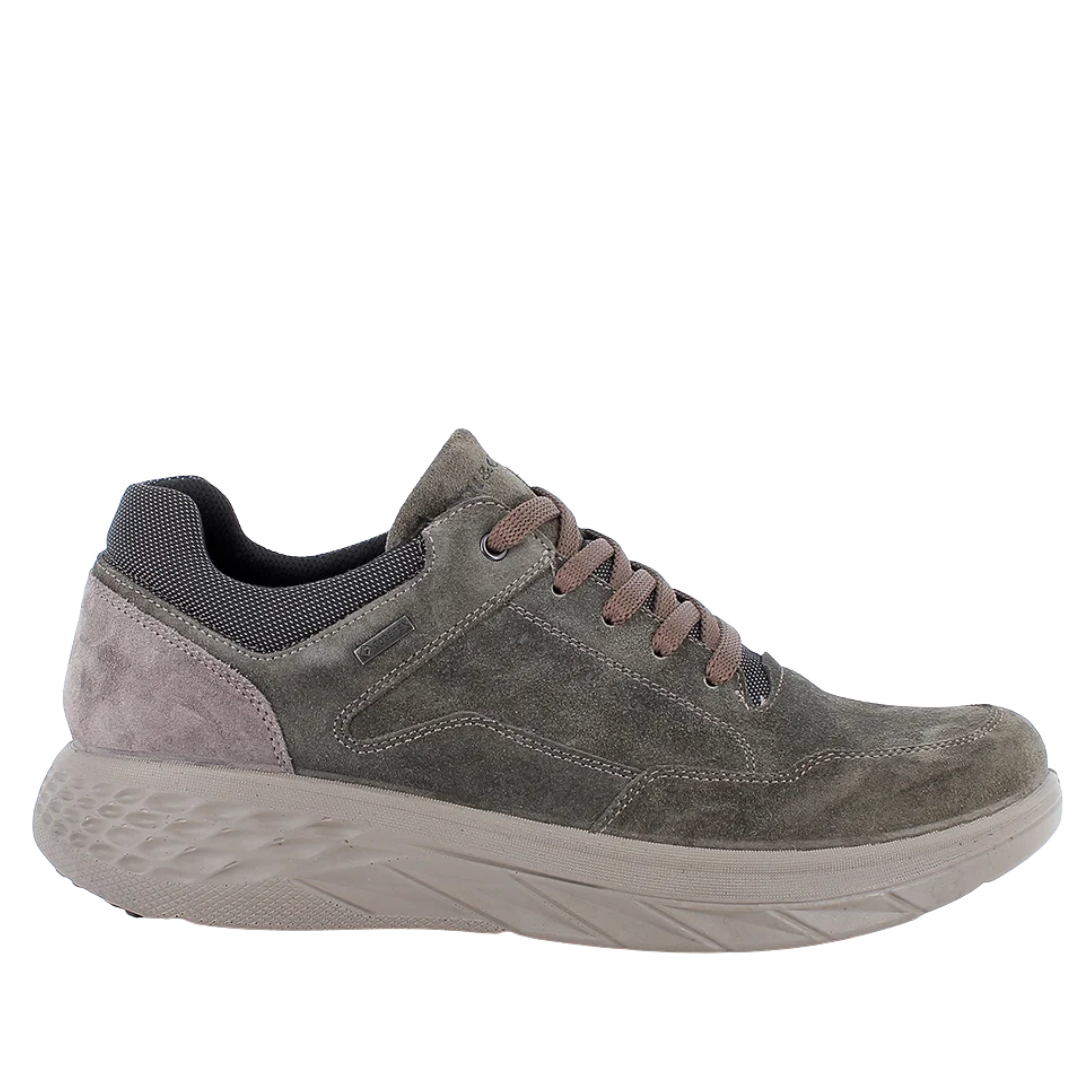 Sneakers Bosco GORE-TEX da uomo IGI&CO